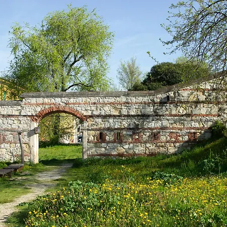 Nest Verona